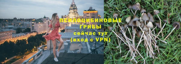 ПСИЛОЦИБИНОВЫЕ ГРИБЫ Алексеевка