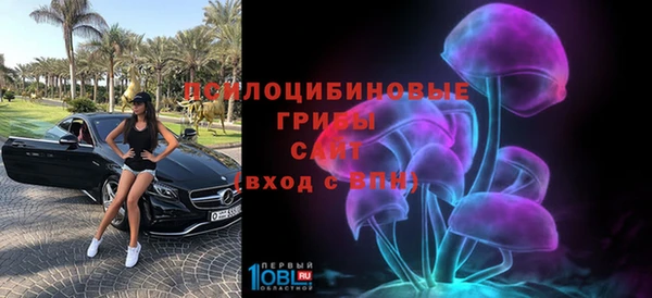 ПСИЛОЦИБИНОВЫЕ ГРИБЫ Алексеевка